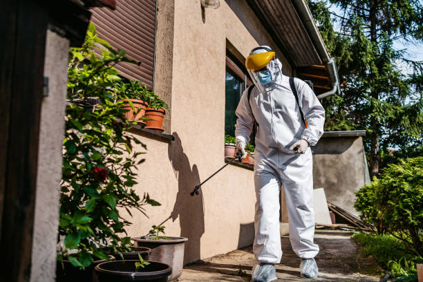 Best Pest Inspection Near Me  in Winona, MS