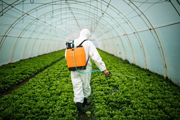 Best Affordable Pest Control Services  in Winona, MS