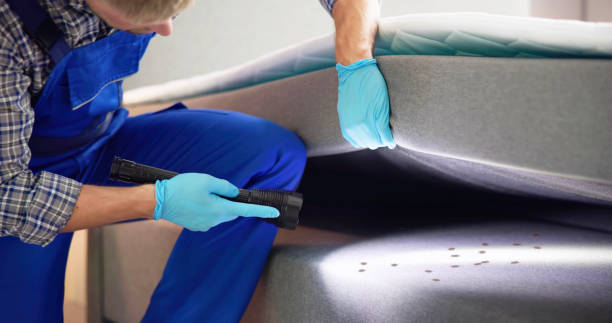 Best Affordable Pest Control Services  in Winona, MS