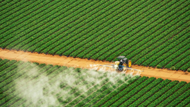 Best Best Pest Control Companies  in Winona, MS