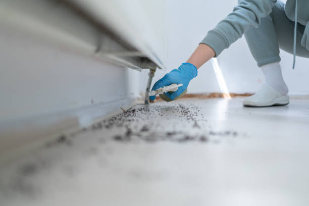 Best Termite Control Services  in Winona, MS